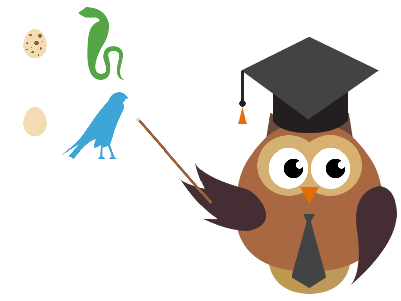 cursos-presenciales-colectivo